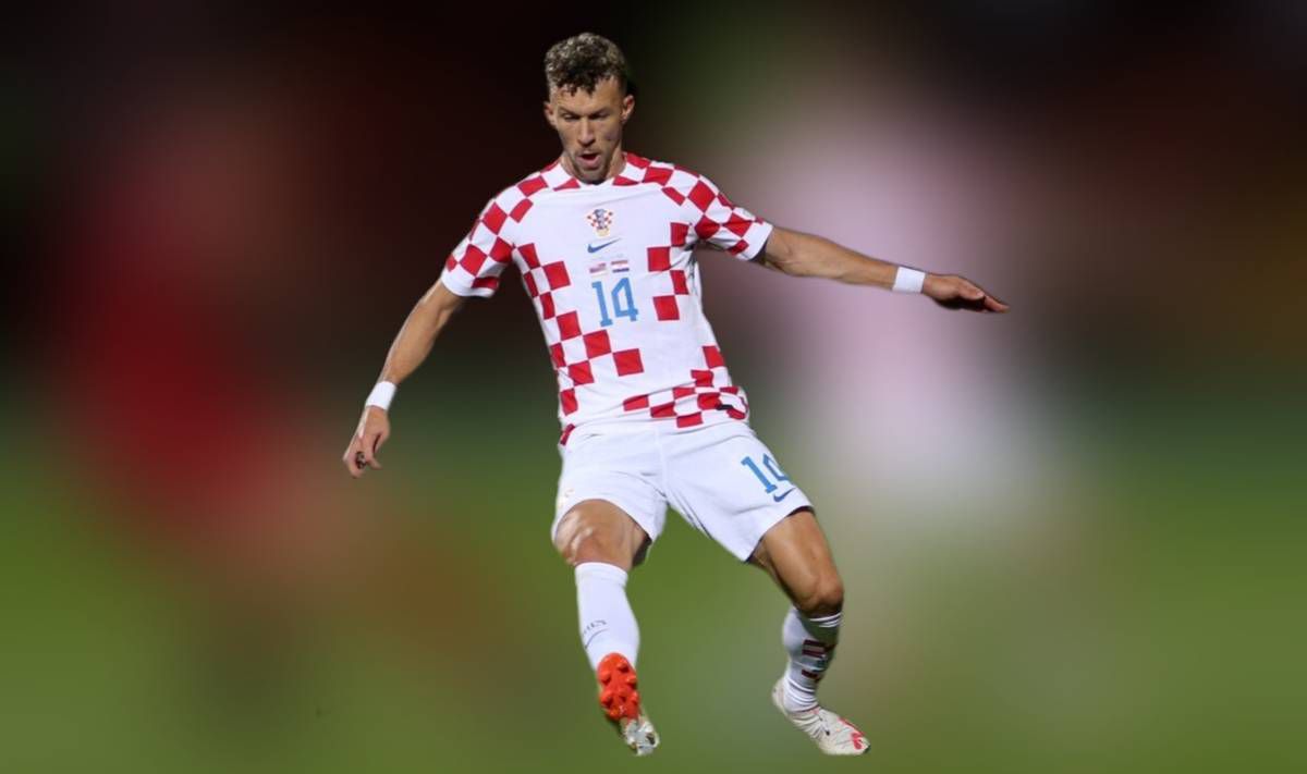 轻佻寡妇在线观看