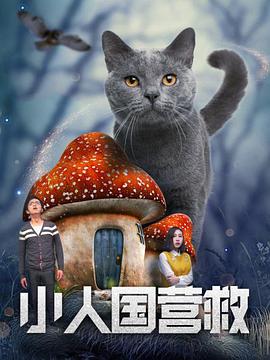 九九热在线视频观看这里只有精品
