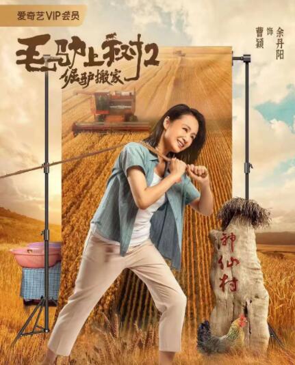 五月天在线看片