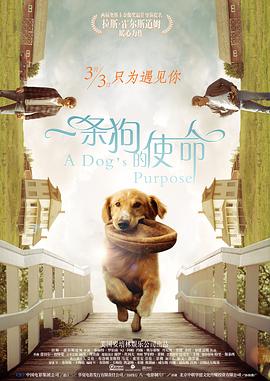 国产一区二区丁香婷婷