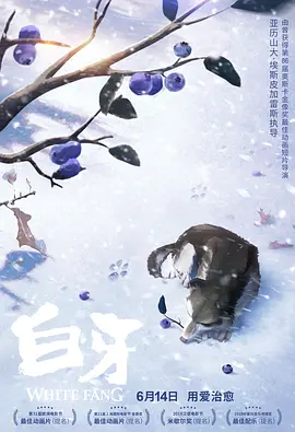 国产日韩精品视频