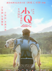 我是特种兵免费观看完整版